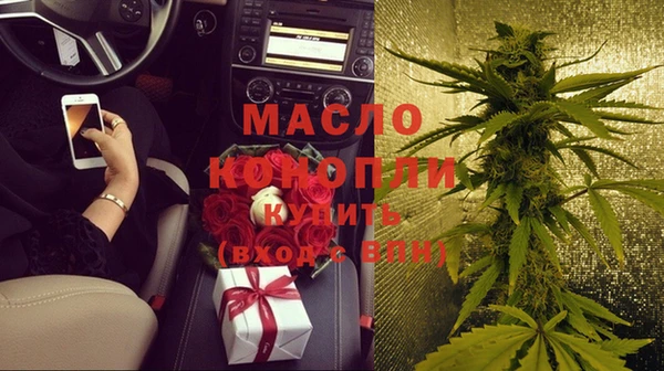 прущие грибы Саяногорск