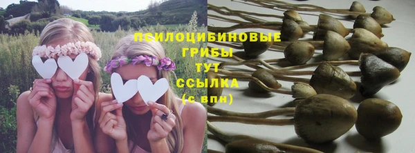 спайс Новозыбков