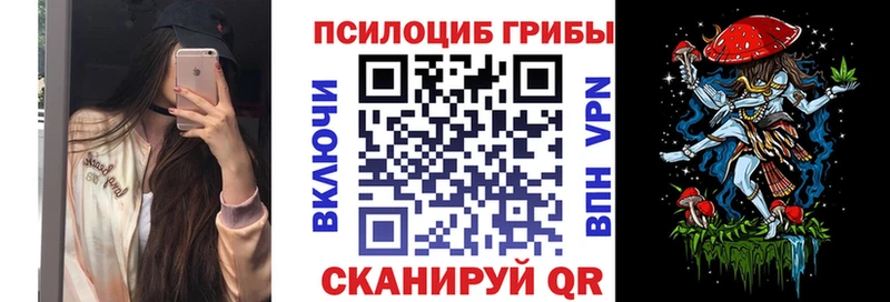 Галлюциногенные грибы Psilocybine cubensis  Рузаевка 