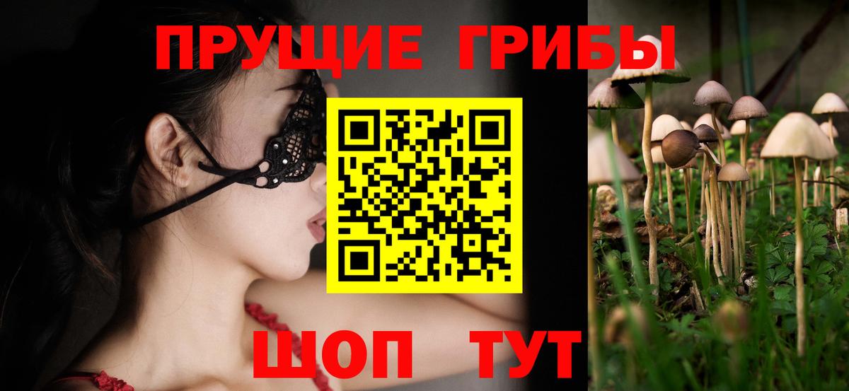 Галлюциногенные грибы Psilocybe  Псилоцибиновые грибы мицелий  Рузаевка  Вход с VPN 