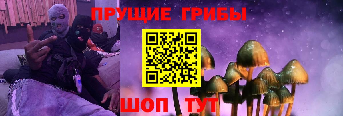 Псилоцибиновые грибы мухоморы Рузаевка